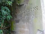 image of grave number 219426